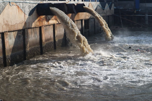 7a2e18 67edcda959d342f1907ace6c67fe76b8~mv2