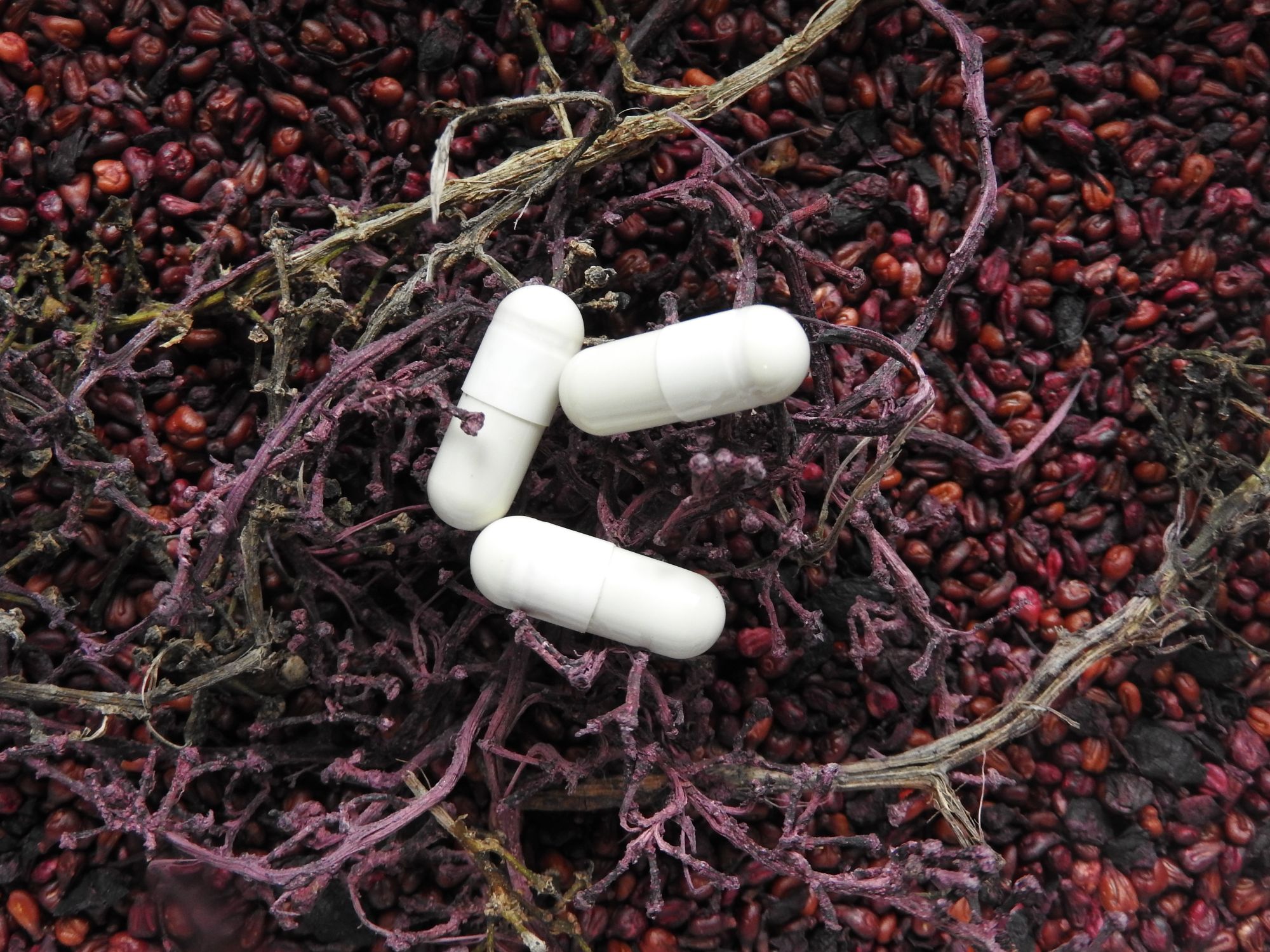 lifetech watersolution arzneimittelrückstände