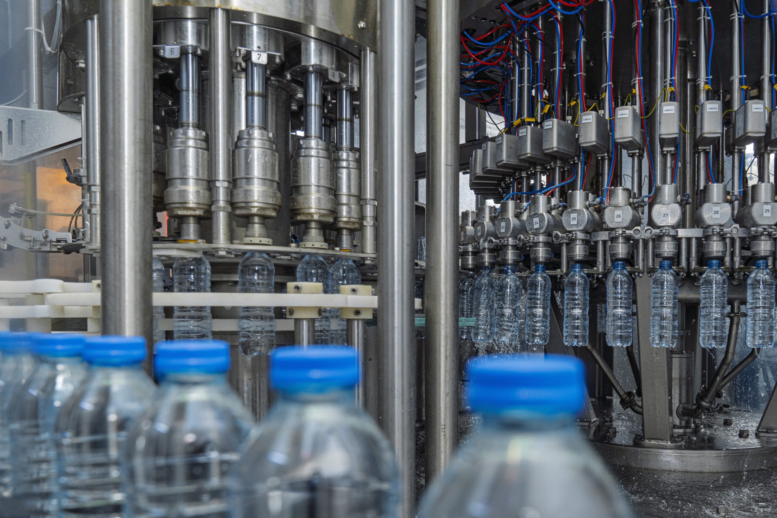 shutterstock 2727960241